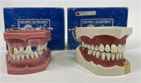 2 Vintage Columbia Dentoforms in Original Boxes