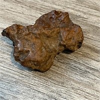 Fossilized Poop!
