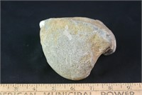 Pelecypod Fossil (Giant Fossil Clam), 1lb 15oz