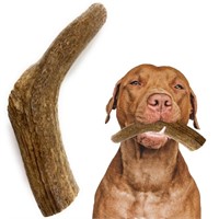 Heartland Elk Antlers for Dogs - Grade A, Naturall