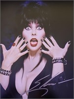 Elvira, Mistress of the Dark signed photo