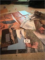 NAT GEO WILDLIFE POSTERS FROM 70'S