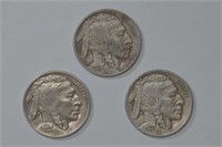 3 - Buffalo Nickels (24,27,29)