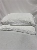 MAPLE DOWN BED PILLOWS 2 PACK 20IN X 26IN
