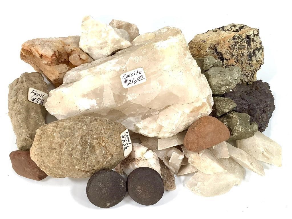 7/1 Garrett Rocks, Minerals, Fossils & Shells Session 1