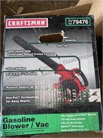 Craftsman gasoline blower/vac not test