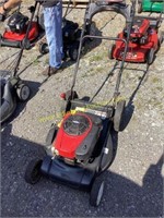 D1. Troy buil push mower runs