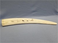 Scrimshawed walrus ivory tusk by Herbie Nayopuk ci