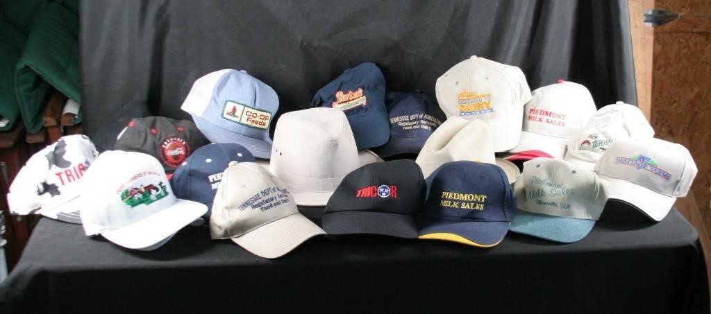 Collection of Trucker Hats