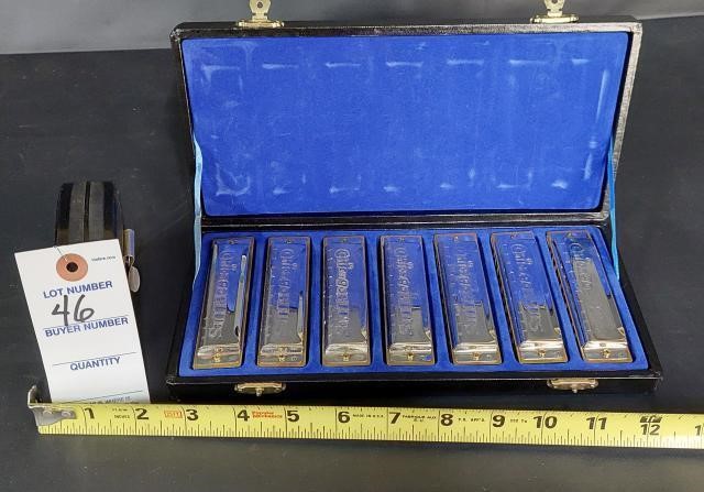 Chicago Blues Complete Harmonica Set