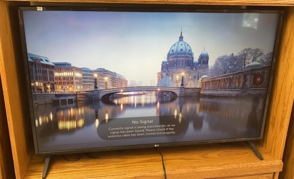 LG 48in Flatscreen TV