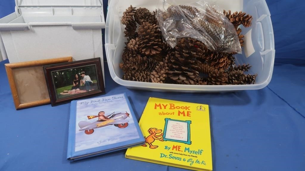 Pine Cones, File Box w/Childrens Books