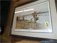 DUCKS UNLIMITED  PICTURE