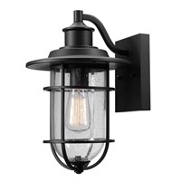 Turner 1-Light Black seeded glass sconce.