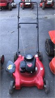 Briggs and Stratton Push Mower