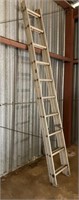 Werner Type III Extension Ladder