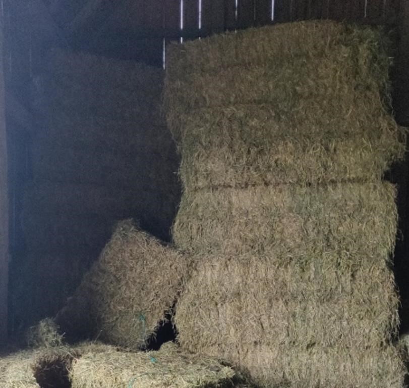 26 Bales 3x3x7 Second Cut Hay Baled At 17-20%
