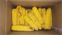Box, bag and container of ear corn ALL TO GO