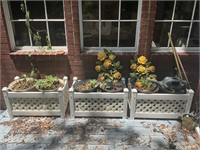 Planter Boxes and Vintage Flower Wall Art