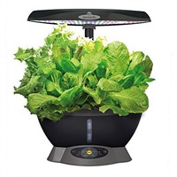 AeroGarden Classic 6 with Gourmet Herb Seed Pod