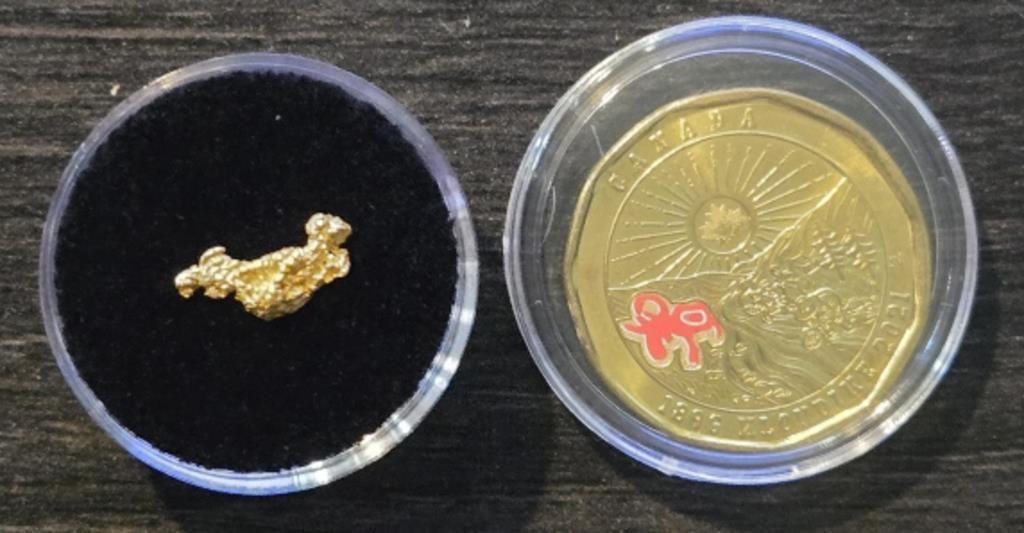 Gold Nugget & Klondike Coin #4