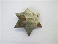 Deputy Sheriff Iron City Michigan Badge