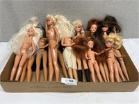 Lot Of Barbie Dolls