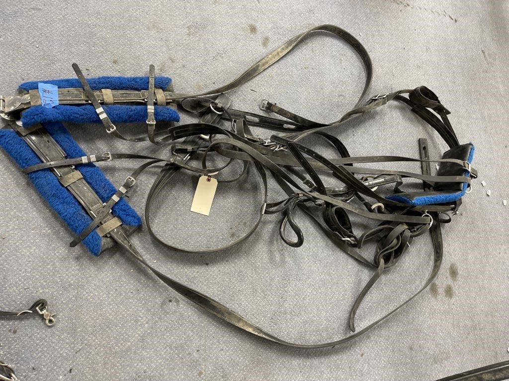 Single Horse Harness Set