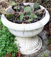 Concrete Looking Planter (Plastic) w/ Cactus