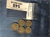 Buffalo Nickels (5)