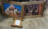3 cat pictures