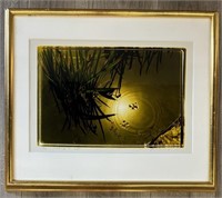 Framed Photo 'Walking on Water', Signed