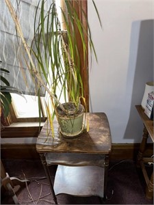 Plant and plant stand