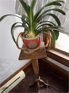 Plant and wood plant stand