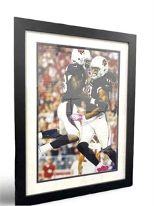 17x23 in. Cardinals #23 Adrian Peterson