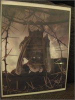 8.5"x 11" Framed Photo Of Salt Petrified Bat