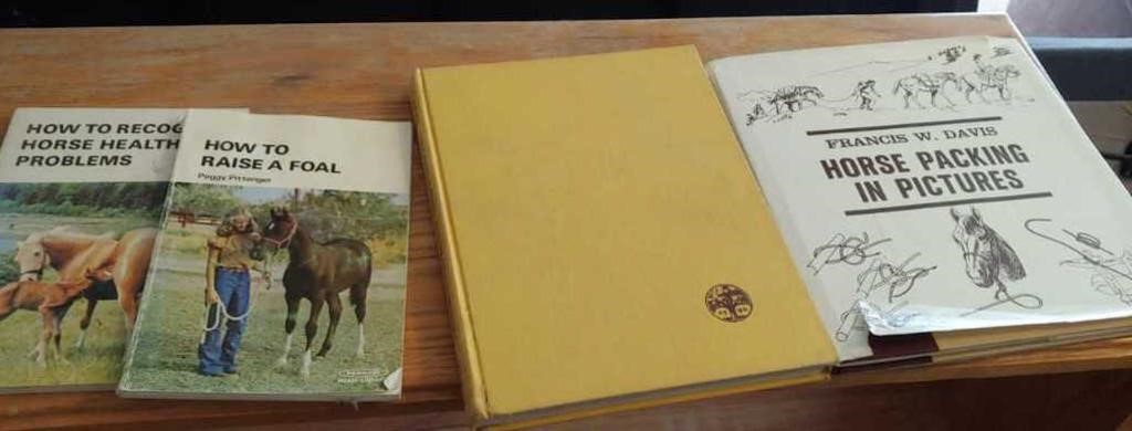 (4) Horse Books
