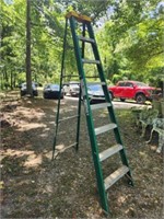 Large metal ladder