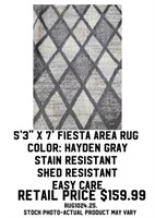 5'3"x7' Fiesta Area Rug