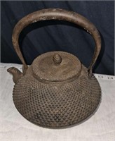 unusual cast iron tea pot