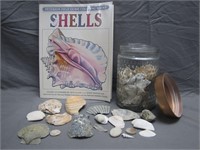 Sea Shell Coloring Guide Book & Glass Jar W/Shells
