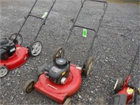 Murray 22" Cut Push Mower