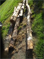 (5) Wood Logs