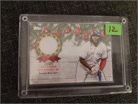 VLAD GUERRERO JR JERSEY CARD