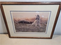 1987 Numbered Signed Wolf Pup Print 1864/1875