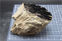 Polished Eden Valley Petrified Wood, 4lbs 15oz