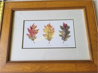 Framed watercolor Art print of red oak leaves Papi