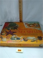 Vintage Shell game