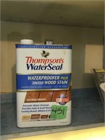 thompson water seal