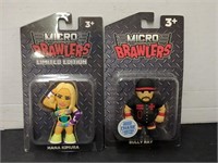 2 Micro Brawlers - Hana Kimura, and Bully Ray,